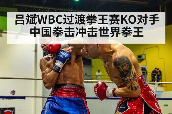 吕斌WBC过渡拳王赛KO对手 中国拳击冲击世界拳王